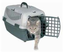 cat carrier for kitten